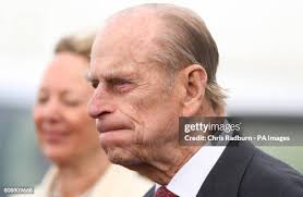 446 Lynn Palm Stock Photos, High-Res Pictures, and Images