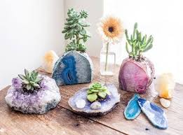 Earth Family Crystals Ontem This Is A Pretty Neat Idea Succulent Plants Displayed In Amethyst Agate Geode Specime Crystal Decor Decor Crystal Garden