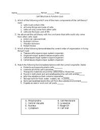 .found mainly in animal cells, digests old cell parts er: Cell Structure And Function Quiz Worksheets Teaching Resources Tpt