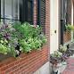 Creative Window Boxes Make/Take Workshop