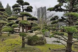 Der japanische garten im belgischen hasselt lockt mit japanischer landschaftsarchitektur und kulturangeboten. Japanischer Garten Hamburg Auch Im Winter Reizvoll