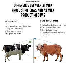 Pin On Milk