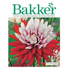 Bakker Garten Katalog Katalog