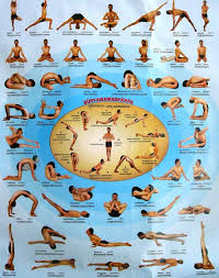 Yoga Poses Pdf Hindi Health Fzl99 Yoga Breathing