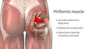Can tight or painful hip flexor or hamstring muscles affect each other? The Psoas Iliacus Quadratus Lumborum And Piriformis Connecting The Back And Hips Ekhart Yoga