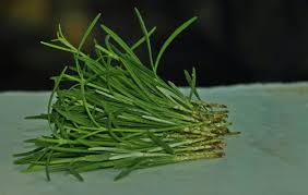 Image result for lavender cuttings