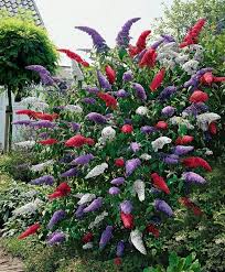 We did not find results for: 60 Beuatiful Colorful Landscaping Ideas With Low Maintenance Flower Bushes Colorful Landscapingideas Flowers Pflanzen Moderner Garten Garten Bepflanzen
