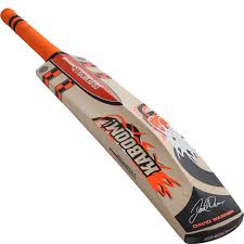 Gray Nicolls Kaboom Cricket Test Bat Cricket Bat Bat Cricket