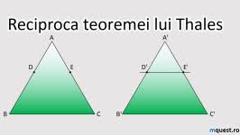 O paralelă la una dintre laturile unui triunghi determină pe celelalte două laturi segmente omoloage proporţionale. InÈ›elegi Matematica Mquest Ro