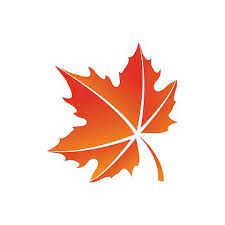 Maple Leaf Logo Icon Design Template Vector Maple Leaf Clipart Logo Icons Leaf Icons Png And Vector With Transparent Background For Free Download Maple Leaf Logo Leaf Logo Leaf Clipart
