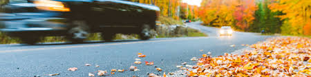 We did not find results for: Tips For Safe Driving On Thanksgiving Weekend Youngs Insurance Ontario
