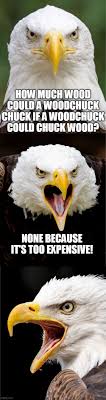 Bad Pun Bald Eagle - Imgflip