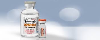 Image result for Tobramycin