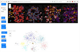 Add it to your imdbpage. Giotto A Pipeline For Integrative Analysis And Visualization Of Single Cell Spatial Transcriptomic Data Biorxiv