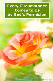 Teen/Young Adult Quotes, Pertinent Scriptures, Wisdom, Humor, on ... via Relatably.com