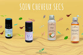 Epingle Sur Des Cheveux Au Naturel Avec Les Huiles Essentielles