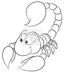 Oktober und endet am 22. Sternzeichen Skorpion Vektor Illustration Fototapete Fototapeten Esoterik Tierkreiszeichen Scorpio Myloview De