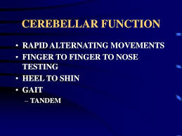 Image result for Cerebellar Function Test