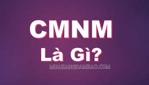 Trong trang web www được viết tắt bởi từ nào. Cmnm La Gi Viáº¿t Táº¯t Cá»§a Tá»« Nao Y NghÄ©a Cá»§a Cmnm Trong Cac LÄ©nh Vá»±c