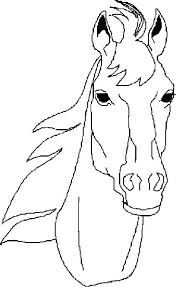 Horse Face Coloring Page Horse Coloring Pics Amazing Horse Coloring Horse Coloring Pages Horse Drawings Horse Coloring