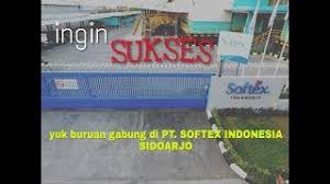 1.gambar pohon & orang (waktu 16 menit). Testimoni Karyawan Pt Softex Indonesia Youtube