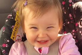 Fundraiser by Stefanie Lilley Auclair : Rosie's Justice