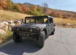 Image result for Vert 1986 UMM