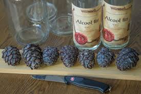 Zirbenschnaps Selber Machen Vom Zirbenzapfen Zum Zirbenschnaps Zirbenschnaps Lecker Schnaps