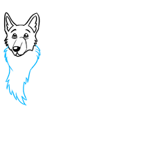 If you have understood everything up to this step, then read all the. How To Draw A German Shepherd Dog Really Easy Drawing Tutorial