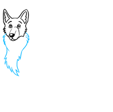 We hope you enjoy our growing collection of hd images to use as a background or home screen for your smartphone or computer. How To Draw A German Shepherd Dog Really Easy Drawing Tutorial