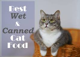 Is nulo good cat food? The 12 Best Wet Soft And Canned Cat Foods Of 2020 Cat Mania