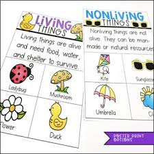 Living And Non Living Mini Unit And Anchor Chart Bundle