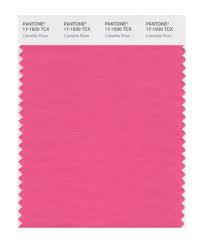 Pin By Rachel S Events In Mind On Themed Camellia Camo Chic Pantone Swatch Color Of The Week