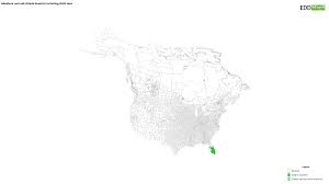 Image result for Scleria lacustris