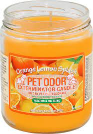 Size:2 candles 1 car air freshener. Pet Odor Exterminator Orange Lemon Splash Deodorizing Candle 13 Oz Jar Chewy Com