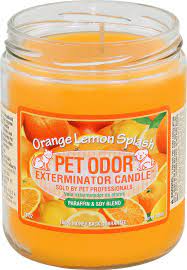 Pick one pina colada pineapple coconut maui wowie mango strawberries orange lemon splash mulberry & spice lavender chamomile caribbean punch mai thai write a review. Pet Odor Exterminator Orange Lemon Splash Deodorizing Candle 13 Oz Jar Chewy Com