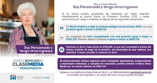 El préstamo estatal solidario puede comenzar a solicitarse desde este sábado 8 de agosto, a través del sitio web del sii (www.sii.cl). Empresario Individual Sii