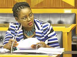 Her mother was a domestic worker and a strong african national congress supporter. Mmamoloko Kubayi Age