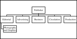 Basic Organizational Chart For A Daily Newspaper Download