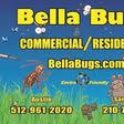 As with all positive growth and expansion, there are some things that remain the same, and one of those is problems with bugs and pests. The 10 Best Termite Control Services In Seguin Tx 2020 Porch