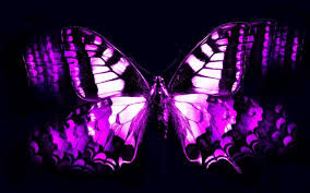 Here are only the best butterfly wallpapers. Free Download Cool Butterfly Backgrounds 1450x950 For Your Desktop Mobile Tablet Explore 72 Cool Butterfly Backgrounds Butterfly Wallpapers Free Download Free Butterfly Wallpaper For Computer Free Wallpaper Of Butterflies