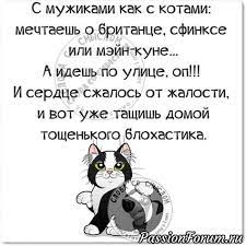 pismo izgolove svoimi rukami yumoristicheskie citaty i drugie idei kotorye vy iskali pinterest yandeks pocht funny expressions funny quotes clever quotes