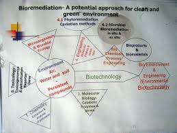 This is a widely utilized approach in our industry, and can achieve comparable results as chemical oxidation technologies. What Is Bioremediation Conserve Energy Future
