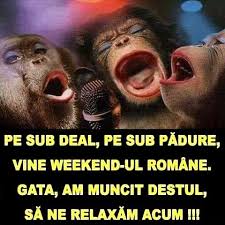 Astazi ezte joi, iar weekendul ne bate la usa. Vine Weekend Ul Viral Pe Internet