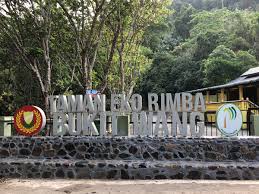 Kekosongan di jabatan perhutanan negeri kedah telah membuka peluang kerja kosong 2019 kepada warganegara malaysia yang berminat dalam bidang ini tarikh tutup permohonan: Paktarm Tren Twitter Taman Eko Rimba Bukit Wang Jitra Lokasi Riadah Yang Telah Lama Sepi Kini Kembali Mula Dikunjungi Selepas Siap Dinaiktaraf Namun Jagalah Kebersihan Ya Dikawal Selia Jabatan Perhutanan