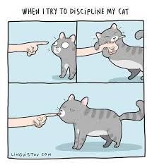 Relatable Cat Comics For Feline Owners Appreciators In 2020 Cats Illustration Cat Comics Funny Cats