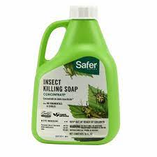 It controls bugs through contact, including aphids, mealybugs, mites. Safer Brand Insect Killing Soap Concentrate 16oz