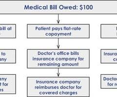 After that, you share the cost with your plan by paying coinsurance. Lesson 2 Medical Insurance 101 Flashcards Quizlet