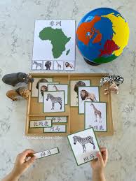 We did not find results for: Montessori Animals And Continents Activities Chinese Korean English