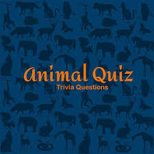 South america this category is for questions and answers related to brazil, as asked by users of funtrivia.com. Animal Quiz Trivia Questions Apps On Google Play